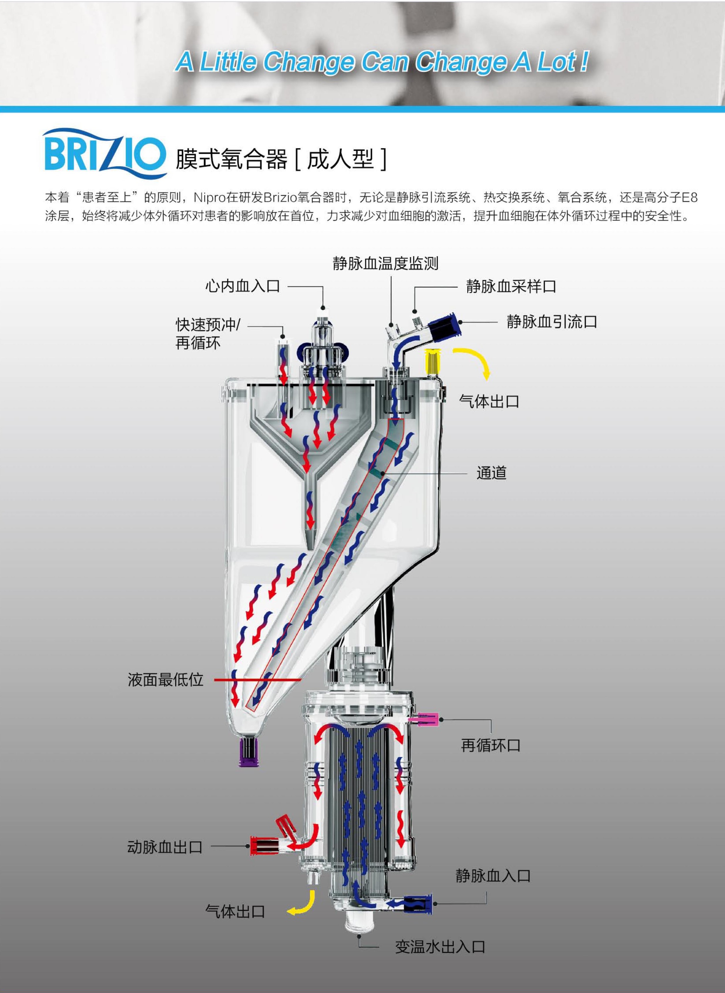 brizio 膜式氧合器[成人型]